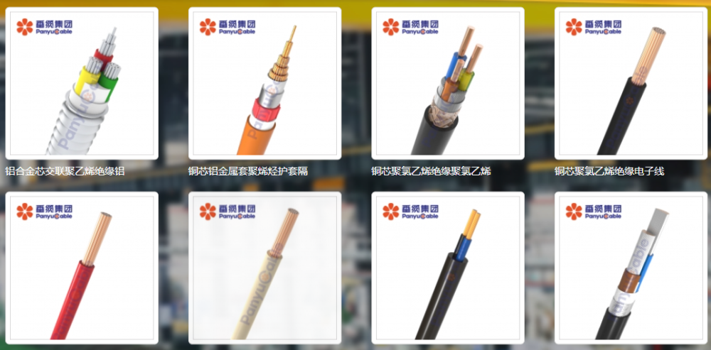 番禺電纜 (2).png